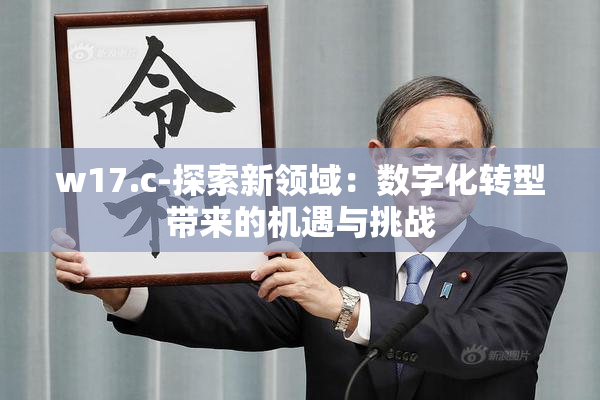 w17.c-探索新领域：数字化转型带来的机遇与挑战