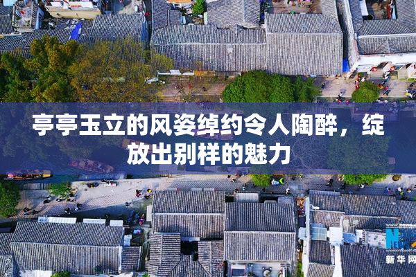 亭亭玉立的风姿绰约令人陶醉，绽放出别样的魅力