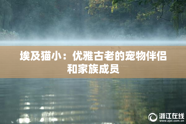 埃及猫小：优雅古老的宠物伴侣和家族成员