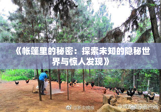 《帐篷里的秘密：探索未知的隐秘世界与惊人发现》