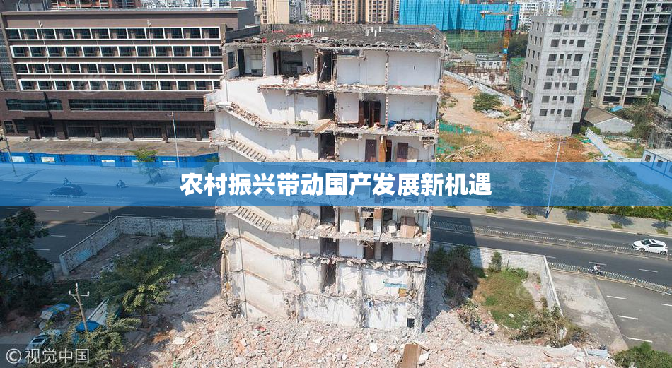 农村振兴带动国产发展新机遇