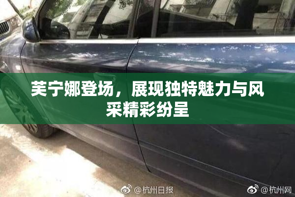 芙宁娜登场，展现独特魅力与风采精彩纷呈