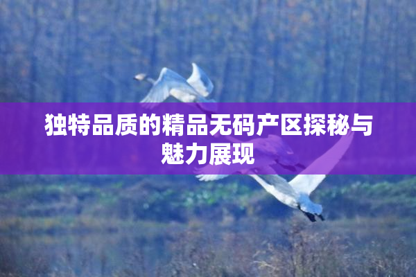 独特品质的精品无码产区探秘与魅力展现