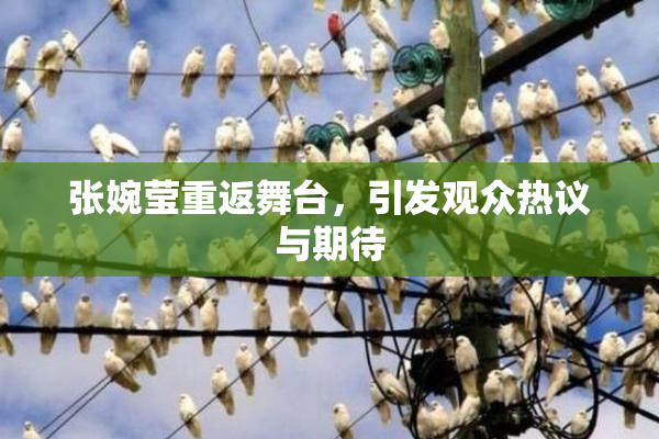 张婉莹重返舞台，引发观众热议与期待