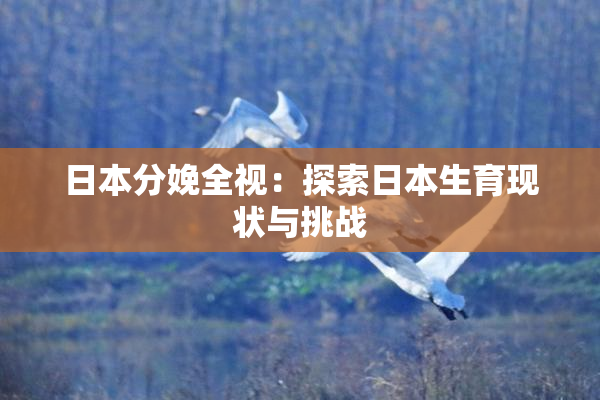 日本分娩全视：探索日本生育现状与挑战