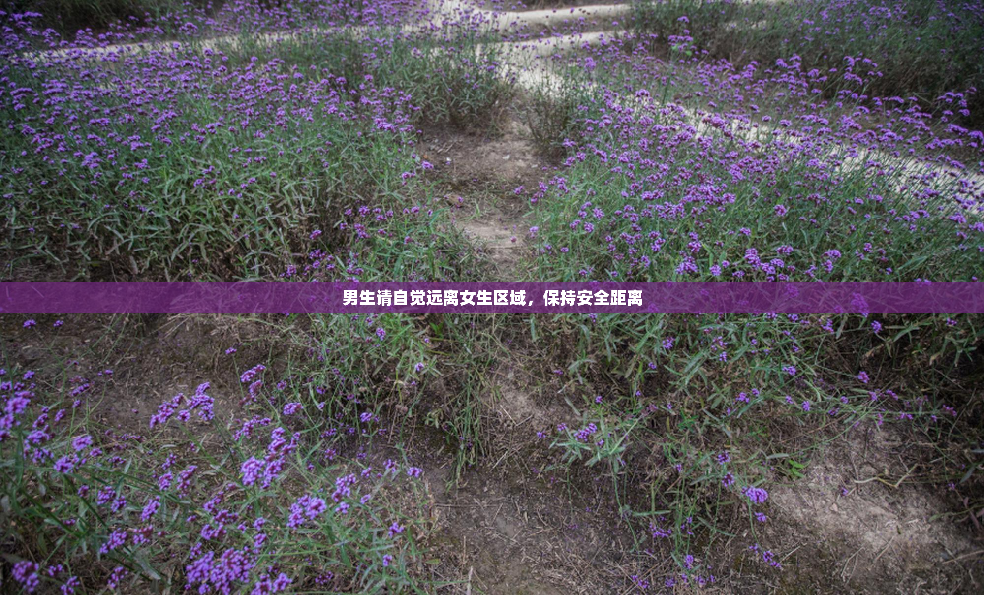 男生请自觉远离女生区域，保持安全距离
