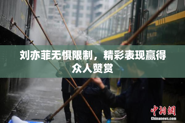 刘亦菲无惧限制，精彩表现赢得众人赞赏