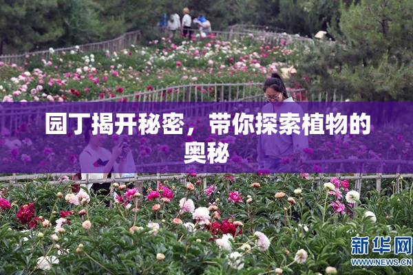 园丁揭开秘密，带你探索植物的奥秘