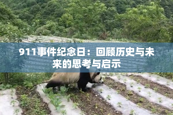 911事件纪念日：回顾历史与未来的思考与启示
