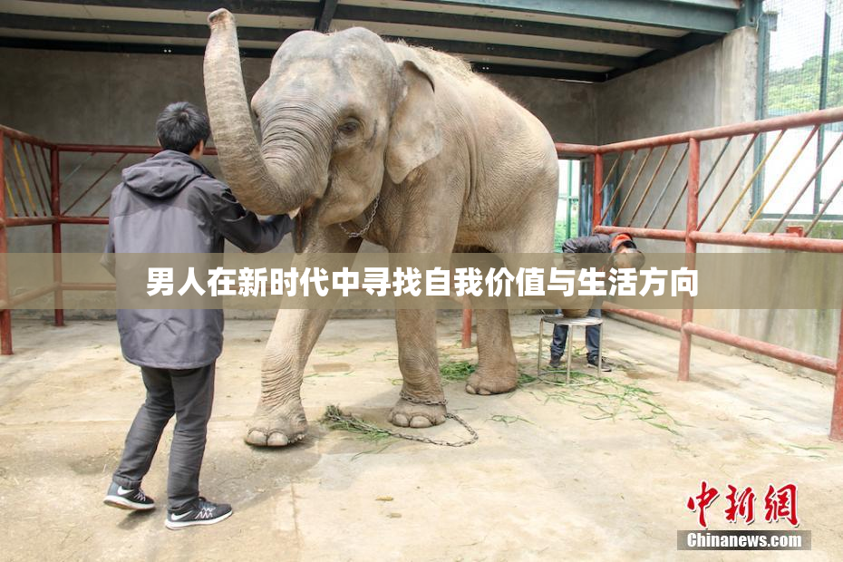 男人在新时代中寻找自我价值与生活方向