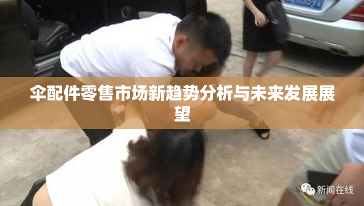 伞配件零售市场新趋势分析与未来发展展望