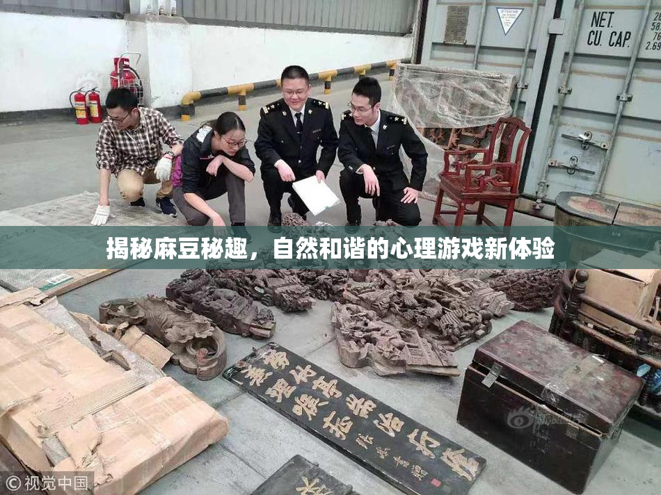 揭秘麻豆秘趣，自然和谐的心理游戏新体验