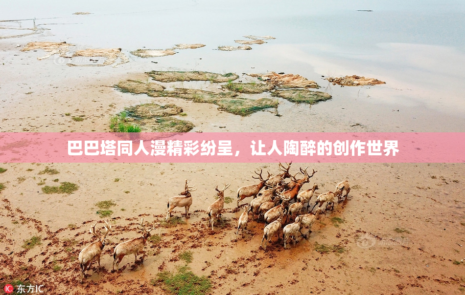 巴巴塔同人漫精彩纷呈，让人陶醉的创作世界
