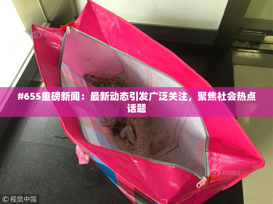 #655重磅新闻：最新动态引发广泛关注，聚焦社会热点话题