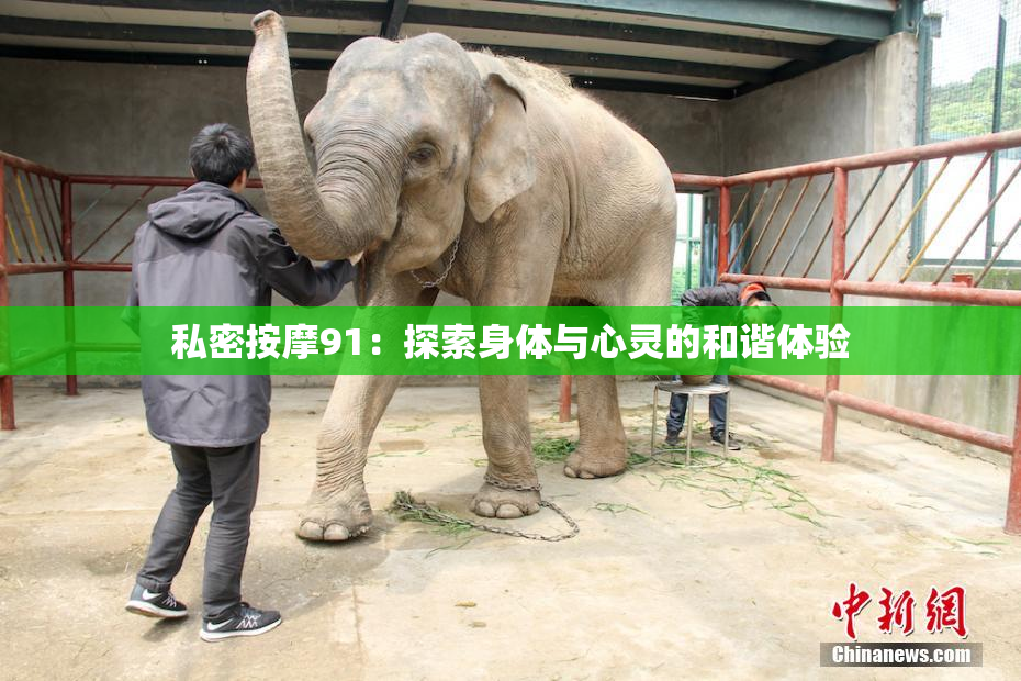 私密按摩91：探索身体与心灵的和谐体验