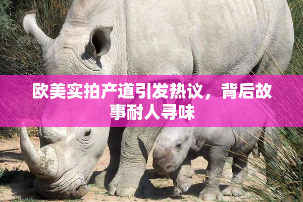 欧美实拍产道引发热议，背后故事耐人寻味