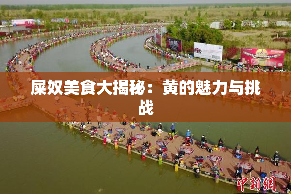 屎奴美食大揭秘：黄的魅力与挑战