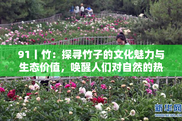 91丨竹：探寻竹子的文化魅力与生态价值，唤醒人们对自然的热爱