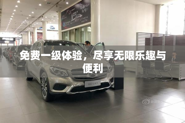 免费一级体验，尽享无限乐趣与便利