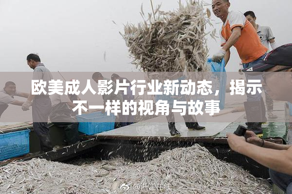 欧美成人影片行业新动态，揭示不一样的视角与故事