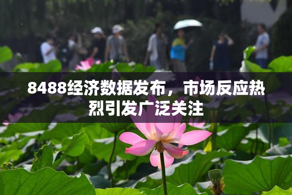 8488经济数据发布，市场反应热烈引发广泛关注