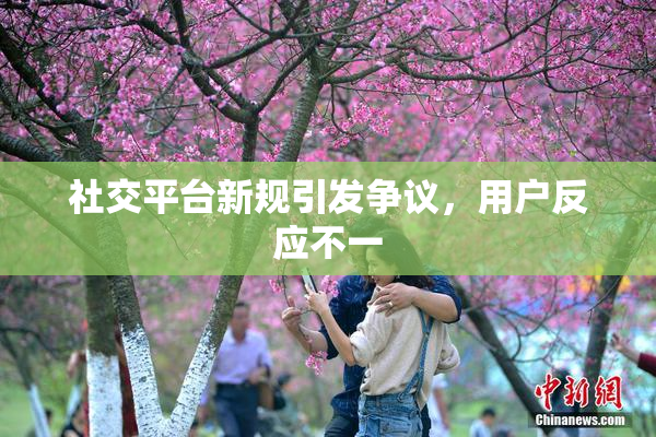 社交平台新规引发争议，用户反应不一