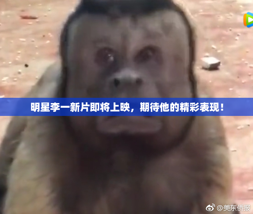 明星李一新片即将上映，期待他的精彩表现！