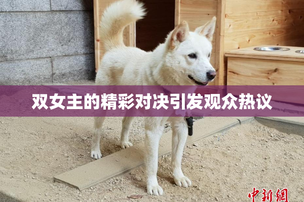 双女主的精彩对决引发观众热议