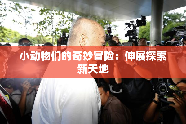 小动物们的奇妙冒险：伸展探索新天地