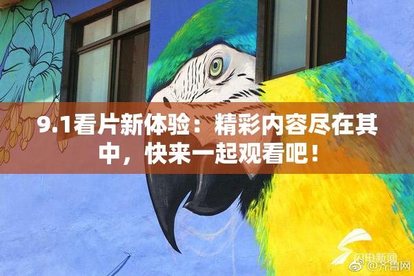9.1看片新体验：精彩内容尽在其中，快来一起观看吧！