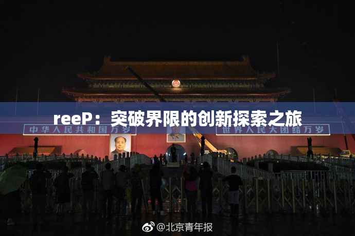 reeP：突破界限的创新探索之旅