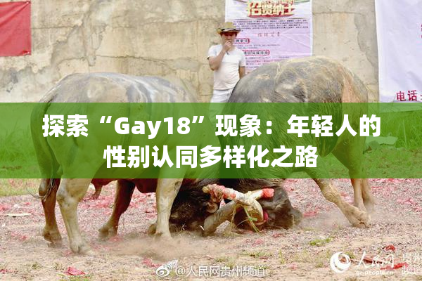 探索“Gay18”现象：年轻人的性别认同多样化之路