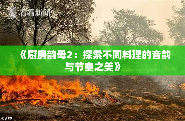 《厨房韵母2：探索不同料理的音韵与节奏之美》