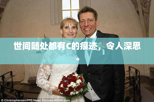 世间随处都有C的痕迹，令人深思。