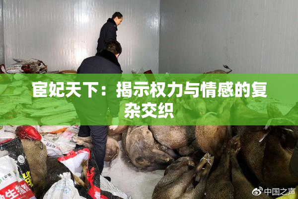 宦妃天下：揭示权力与情感的复杂交织