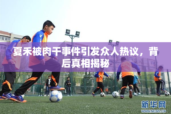 夏禾被肉干事件引发众人热议，背后真相揭秘