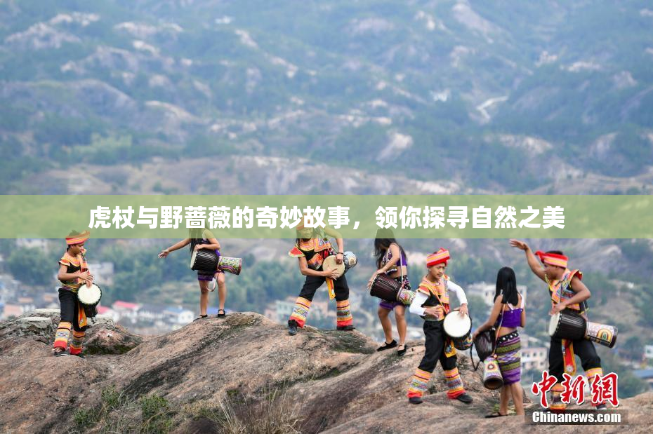 虎杖与野蔷薇的奇妙故事，领你探寻自然之美
