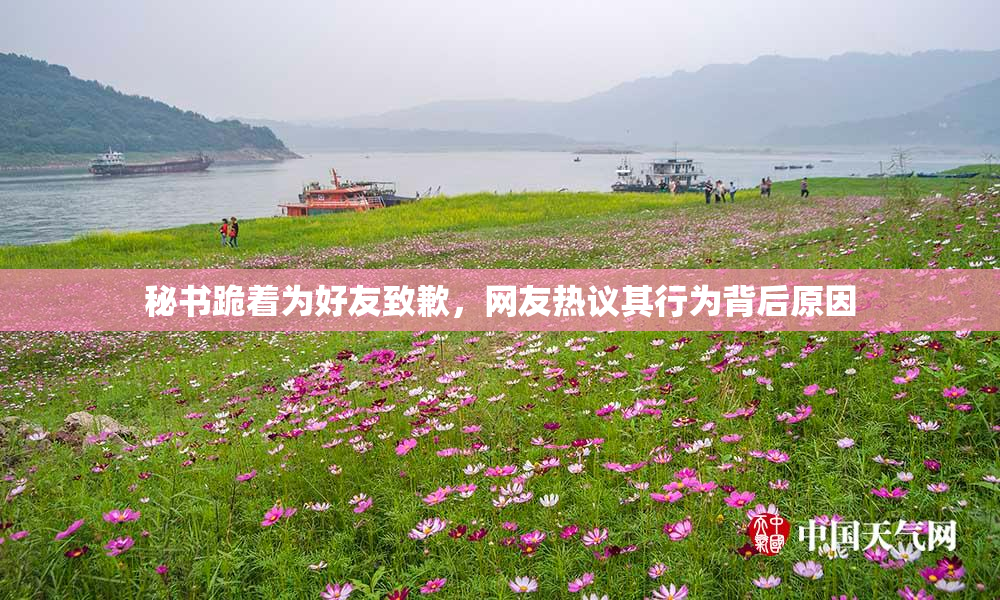 秘书跪着为好友致歉，网友热议其行为背后原因