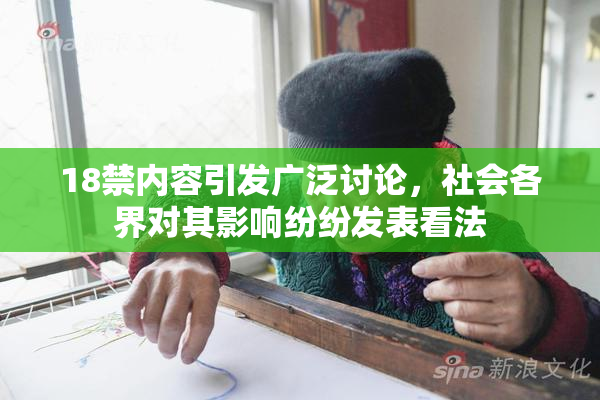 18禁内容引发广泛讨论，社会各界对其影响纷纷发表看法
