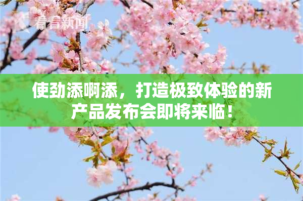 使劲添啊添，打造极致体验的新产品发布会即将来临！