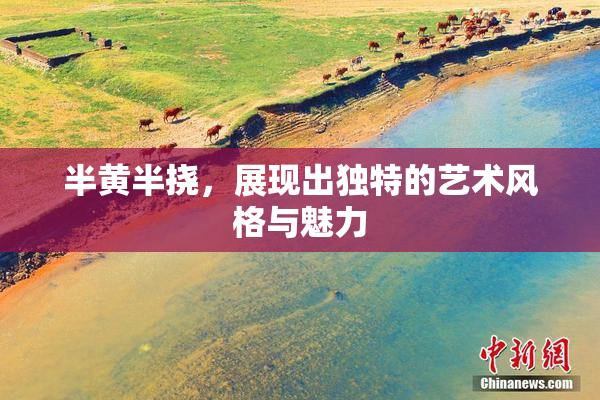 半黄半挠，展现出独特的艺术风格与魅力