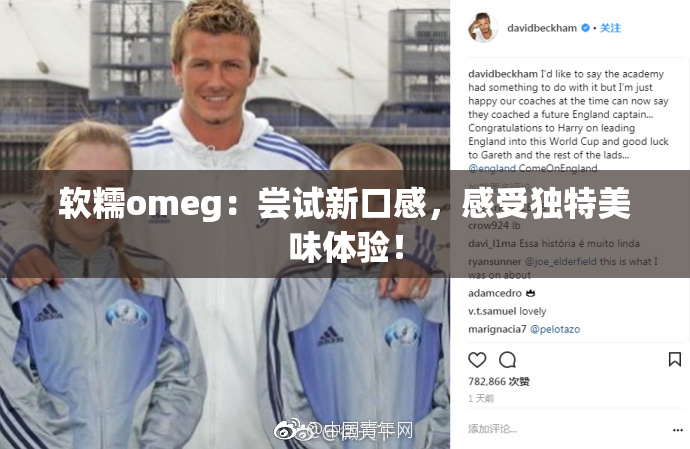 软糯omeg：尝试新口感，感受独特美味体验！