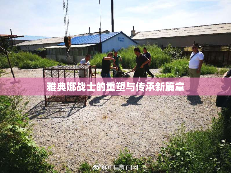 雅典娜战士的重塑与传承新篇章