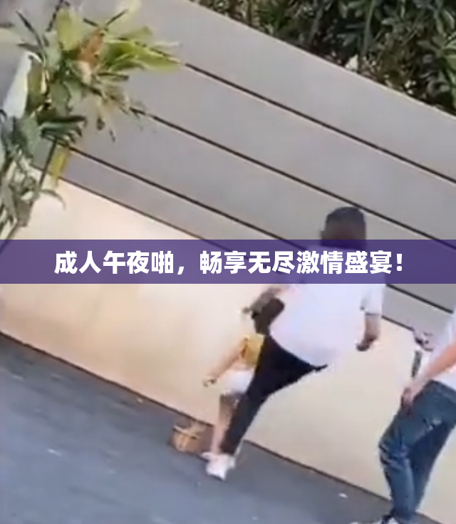 成人午夜啪，畅享无尽激情盛宴！