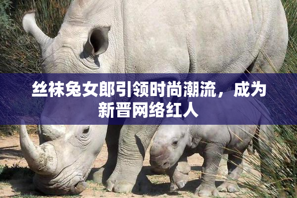 丝袜兔女郎引领时尚潮流，成为新晋网络红人