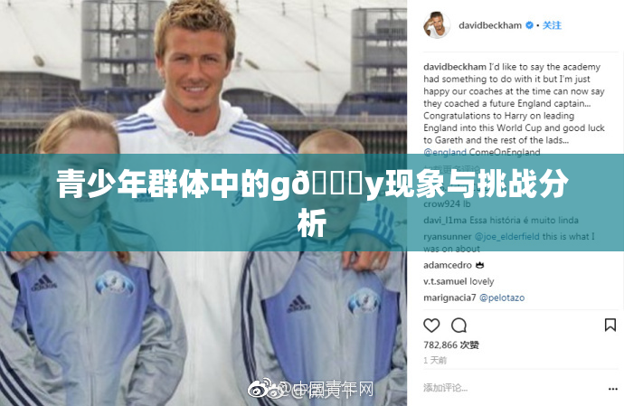 青少年群体中的g🈚y现象与挑战分析