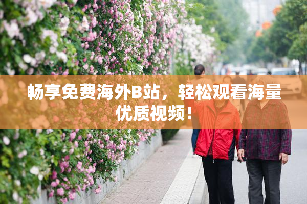 畅享免费海外B站，轻松观看海量优质视频！