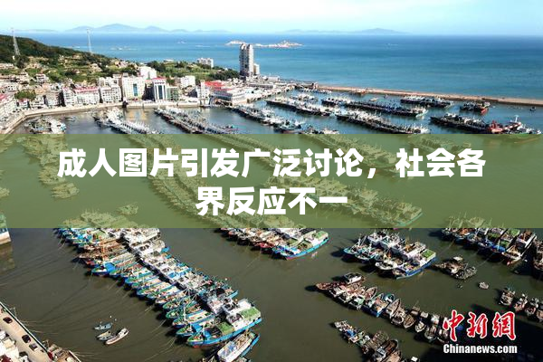 成人图片引发广泛讨论，社会各界反应不一