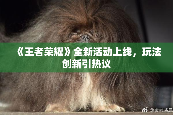 《王者荣耀》全新活动上线，玩法创新引热议