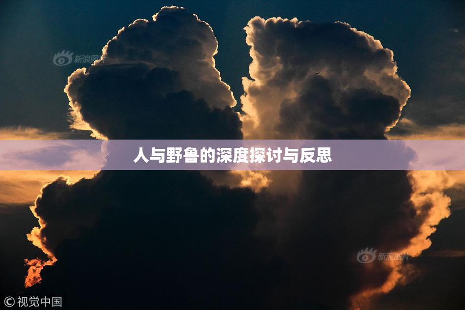 人与野鲁的深度探讨与反思